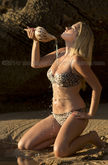 swimwear model with sea shell female model with conch shell